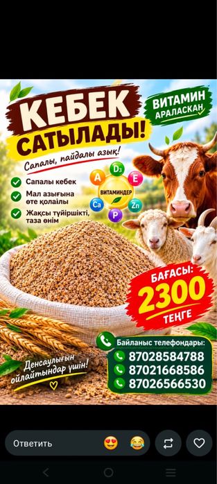 Отруб Кебек качества хороший