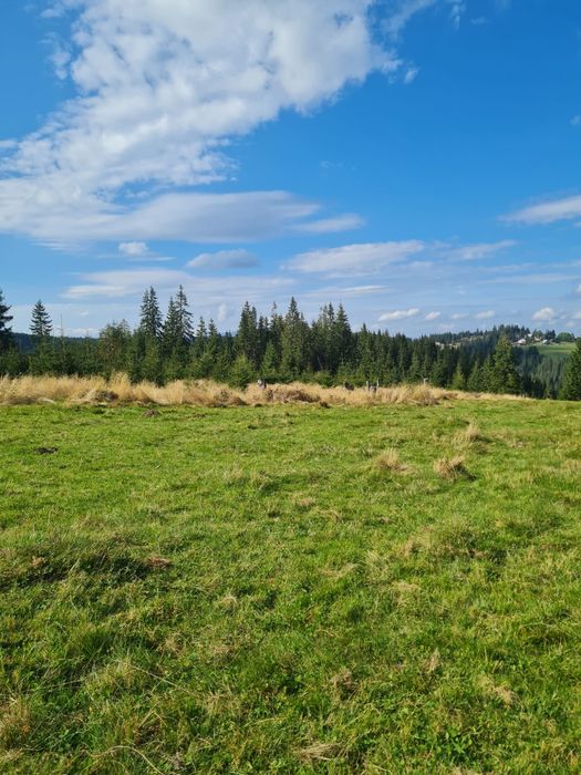 Teren de vânzare Maguri jud Cluj