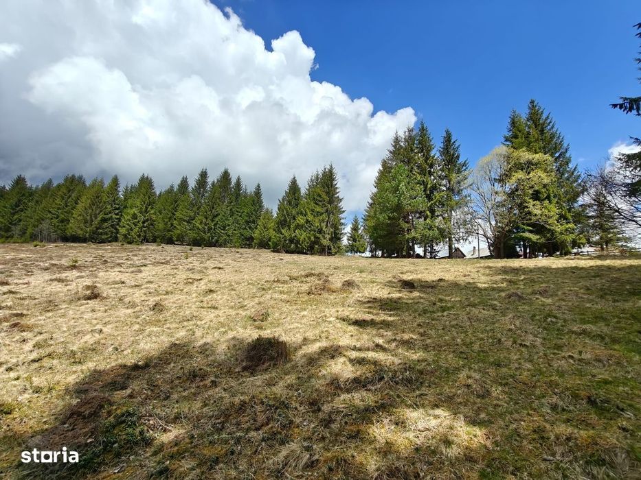 Teren intravilan, 1500 mp, Dealu Botii, com Belis, Comision 0