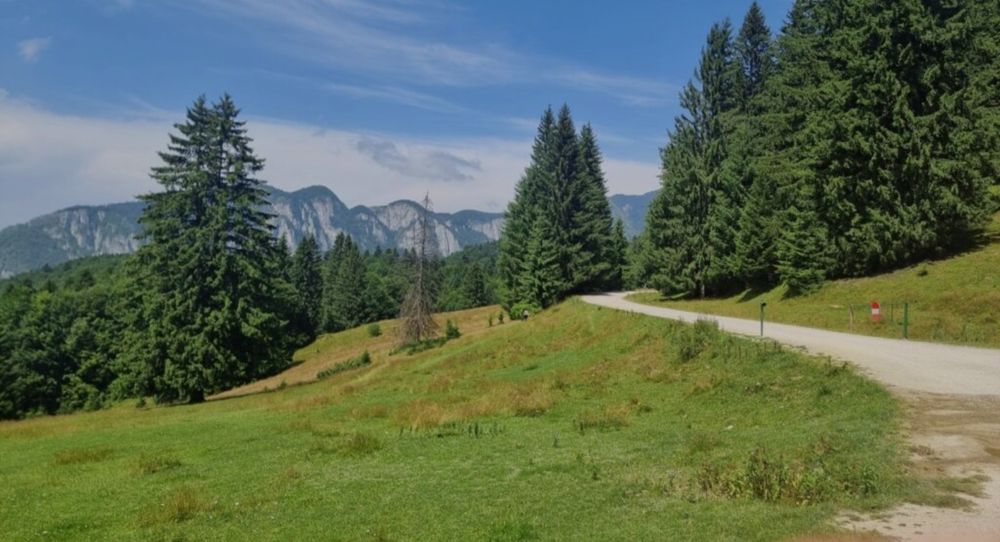 Teren Trei Brazi Predeal