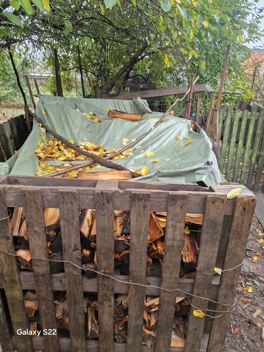 De vinzar numolpf