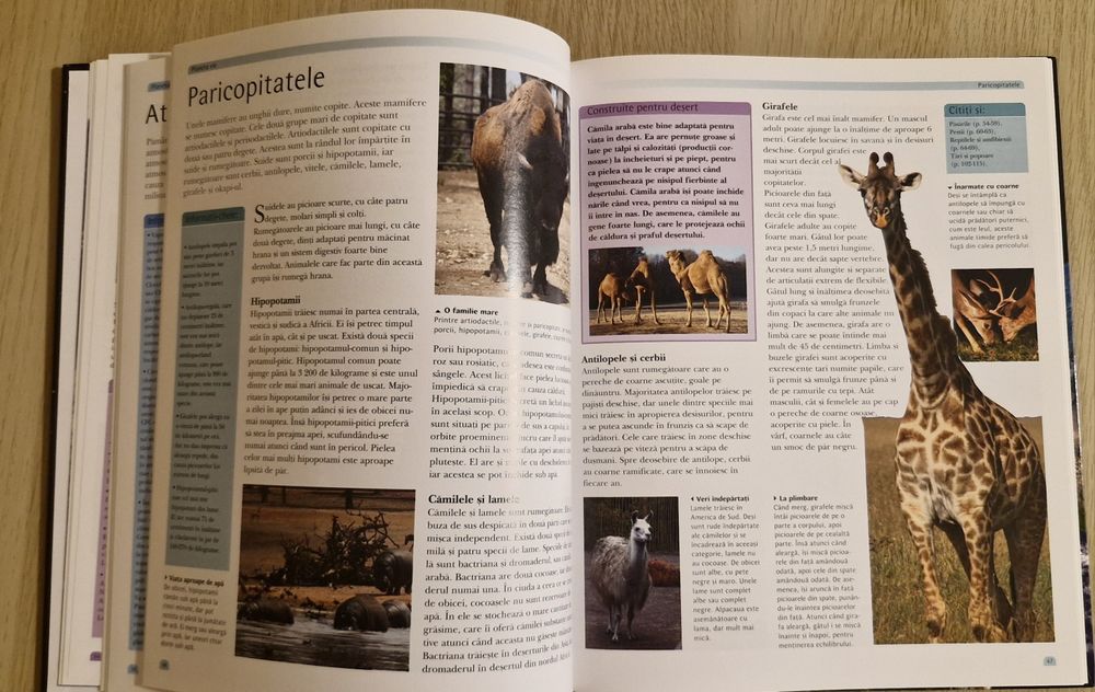 Enciclopedia lumii pentru copii - Editura Corint