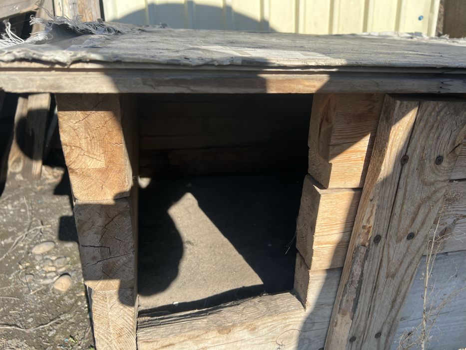 Дом для собак уютный хорош