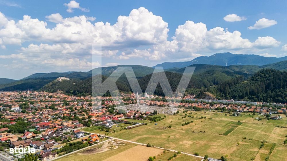 Teren intravilan 786 mp | Toate utilitatile | Studiu de fezabilitate |