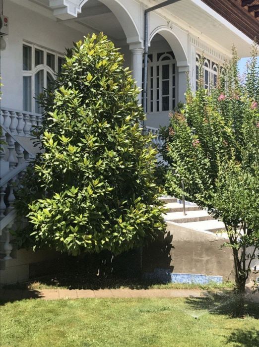 Сдаётся Участок евро 12 ком Урикзор Вилла