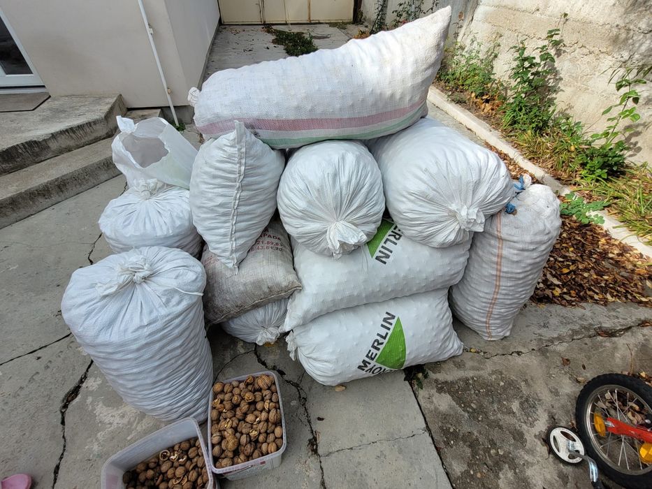 Vand nuci in coaja 13 Ron/kg