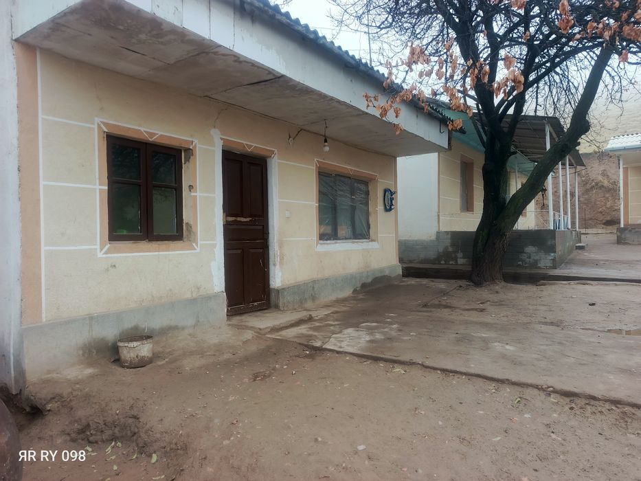 Tayor uy joy va chorva mollari uchun ham tayor hojalik