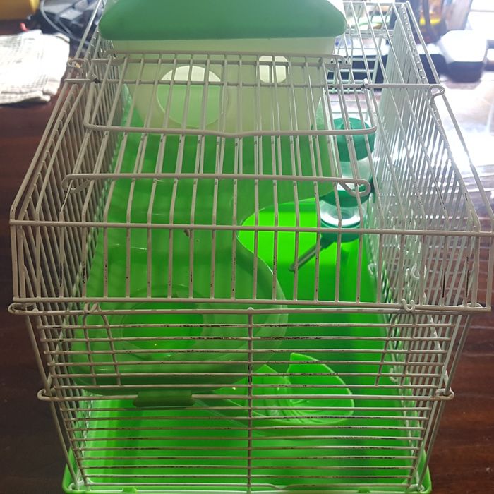 Клетка для хомяка.