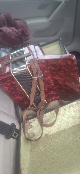 Acordeon vintige