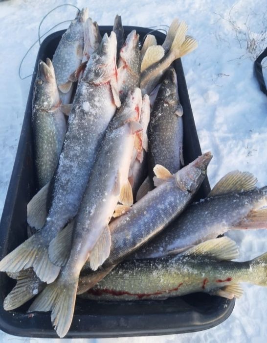 Рыбалка, выезд на рыбалку