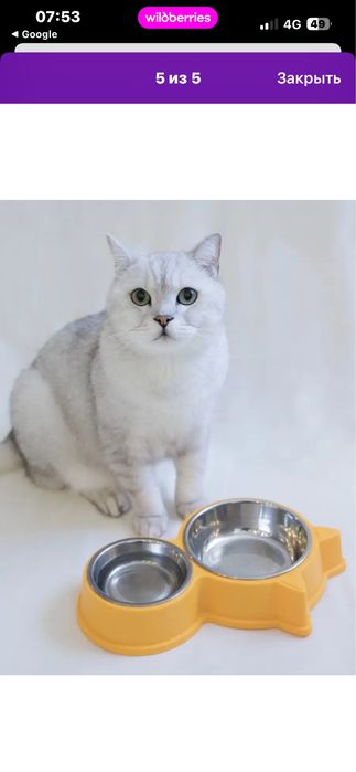 миски для кошек!
