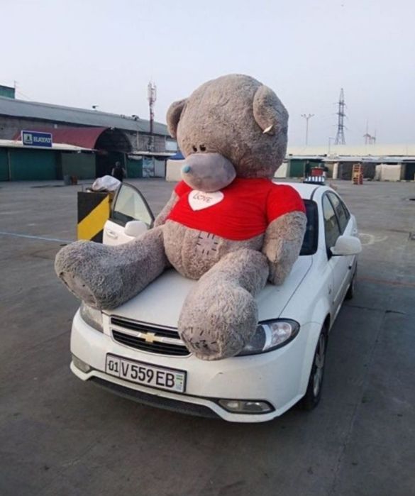 Teddy Mandarin buket Kapalak Buket gul babochka va, Vozdushniy Shariki