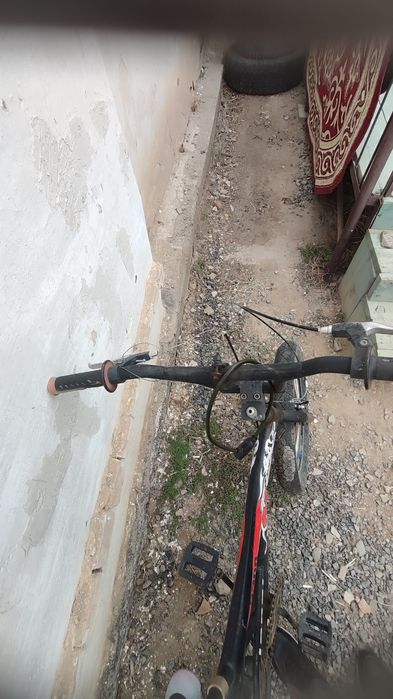 Велик горыный харошый