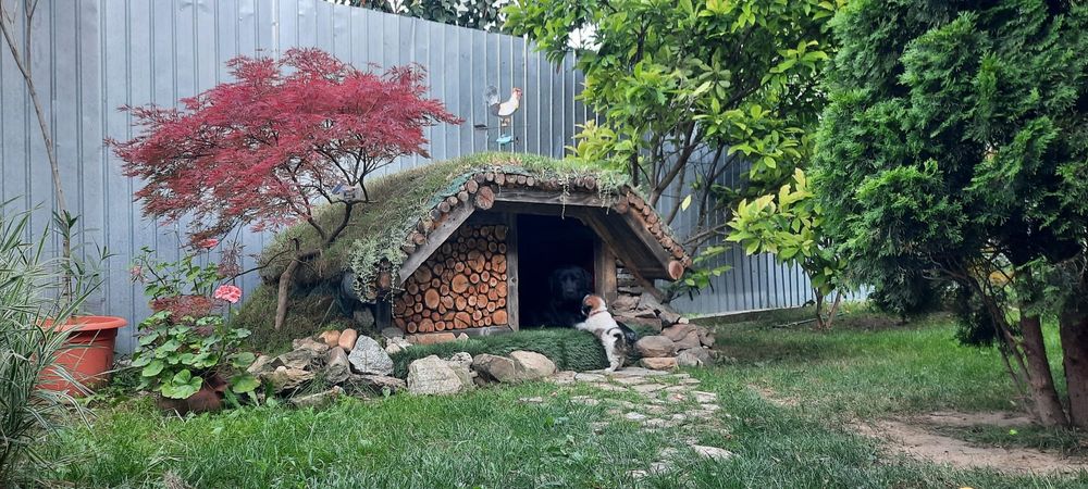 Cușcă pentru câine tip Hobbit