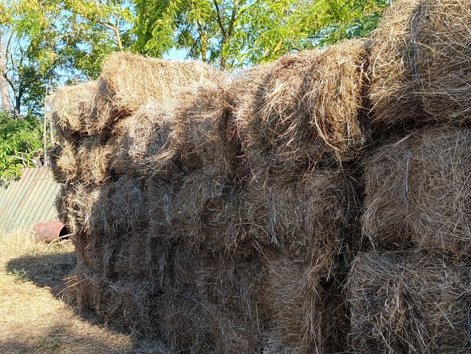 Продавам малки бали сено