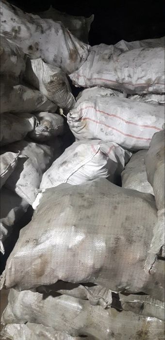 Морковь на корм.