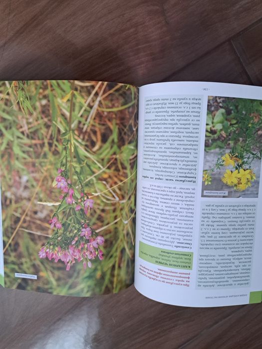 Книгии,енциклопедия