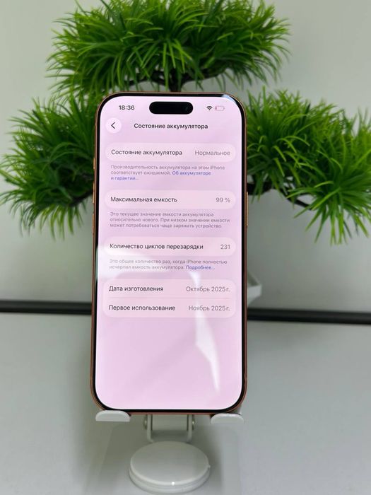 iPhone 17 Pro 256gb оранжевый