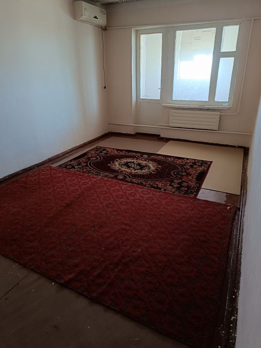 Агро колеж ишинде жайласган