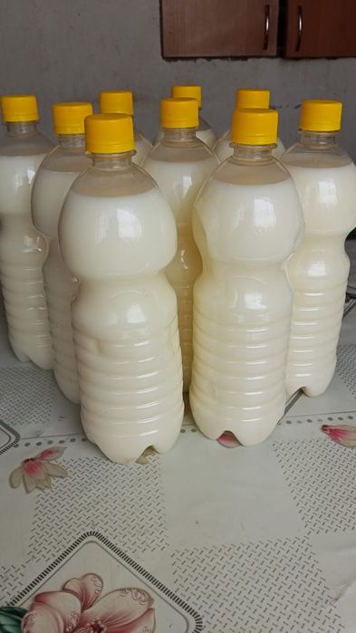 Продам кумыс натуральный