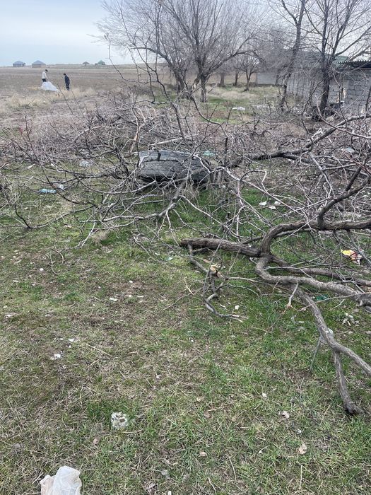 Бесплатно отын бар тегин