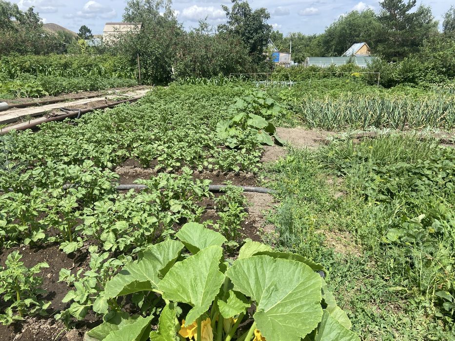 Продам дачу общество Каучук