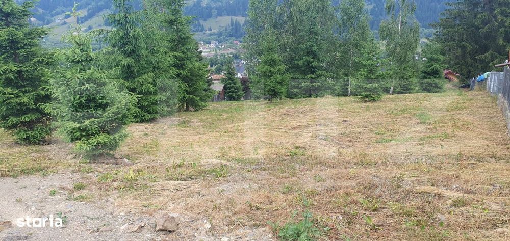 Teren 3.268 mp, intravilan, zona Vatra Dornei