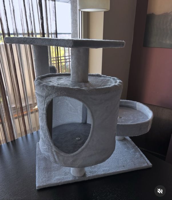 Котешка катерушка