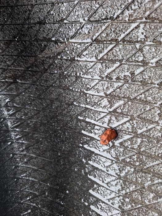 Зимни гуми 215/55/16