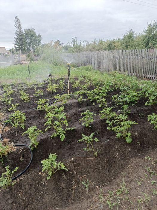 Продам/сдам дачу СО Энергетик