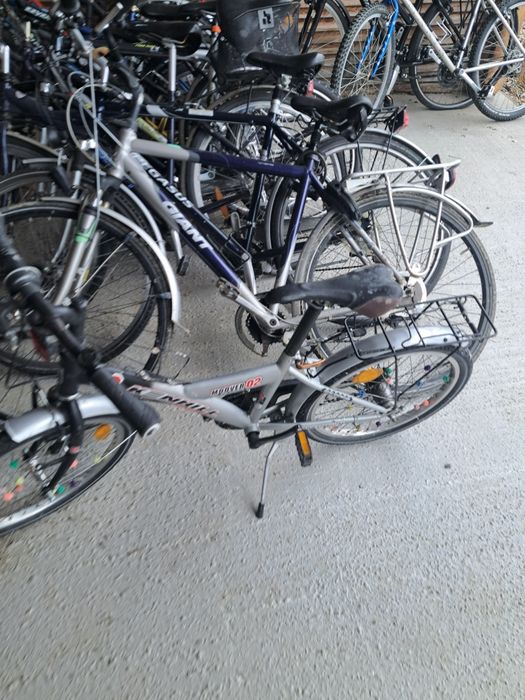 Biciclete  de sezon