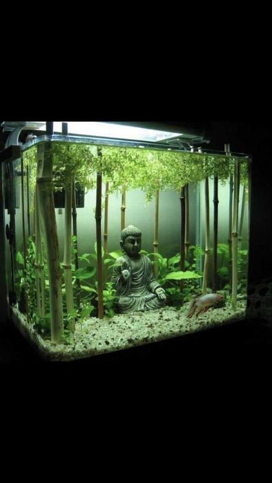 Acvarii la comandă | Dimensiuni personalizate | TerraRivus