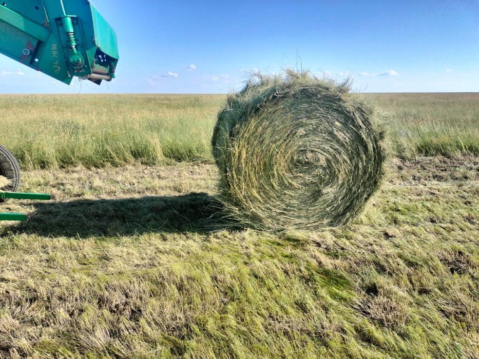 Продам сено луговое и степное