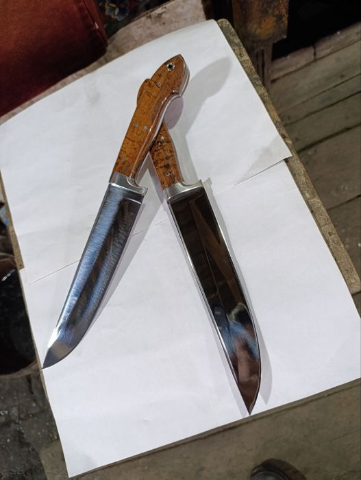 Pichoqlar axotichniy