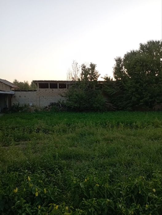 Burota mustaqilik kochasida 5sotix yer uchastka sotiladi