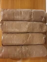 Oua artemia umeda -artemia shrimp