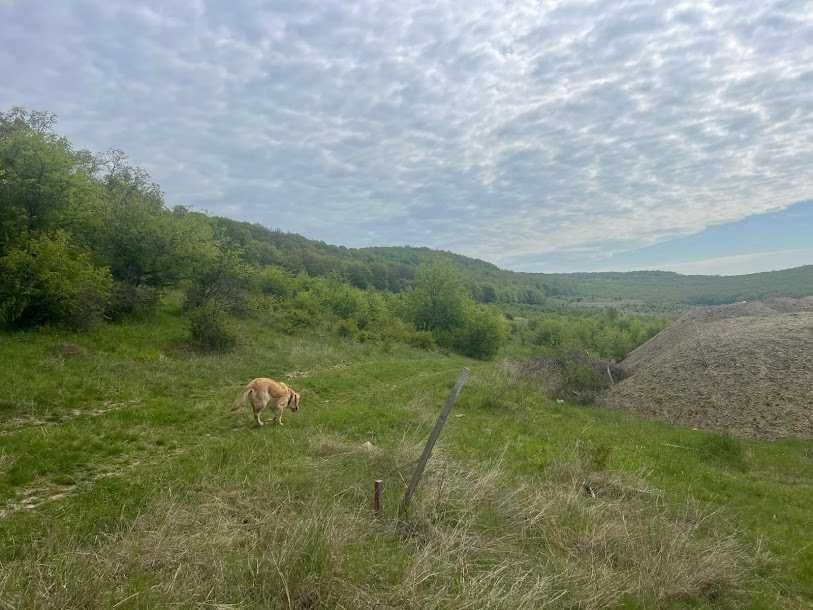 Teren de vânzare – Corunca Zona Valea Iubirii Coordonate GPS: 46.509002, 24.641028