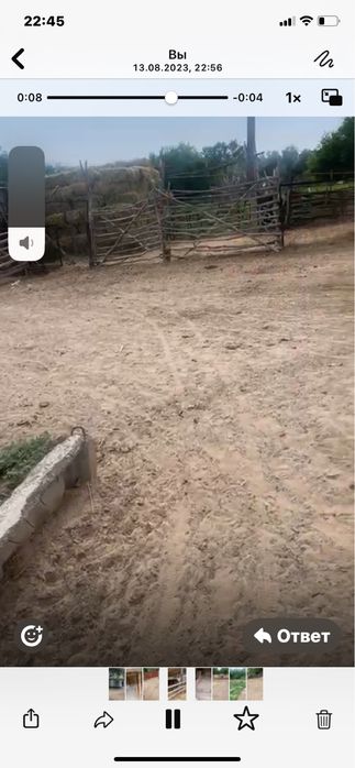 Фазенда сатамынн