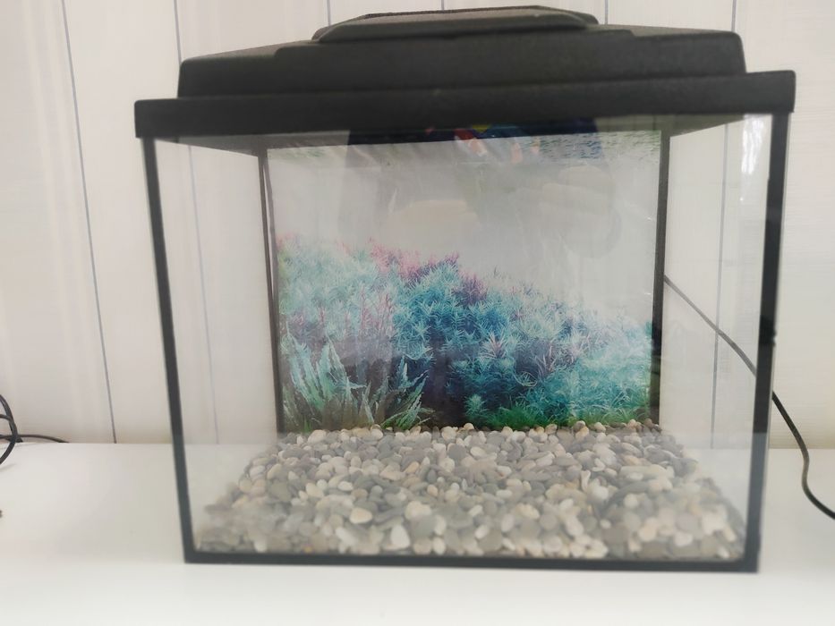 Аквариум для рыб дешево