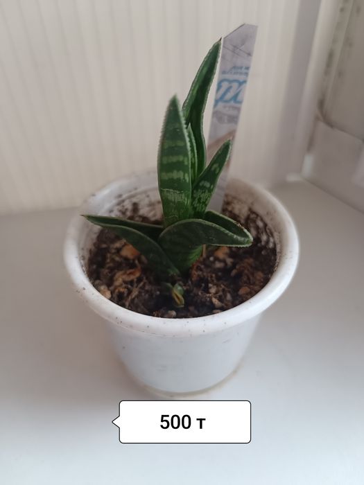 Продаю обои ширина 1.06