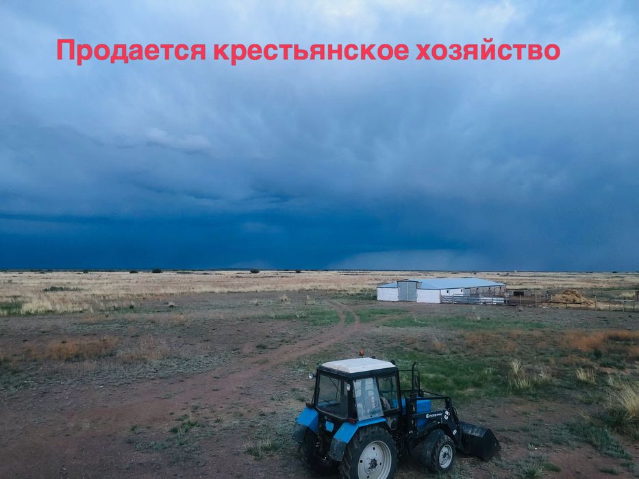 Продается действующее крестьянское хозяйство