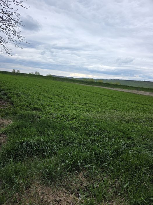 Vand teren intravilan in Lutca,la 5 km de Roman