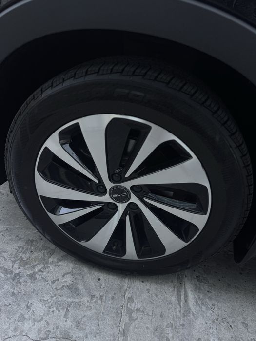 Byd chempion 605 qora 2023 tozza