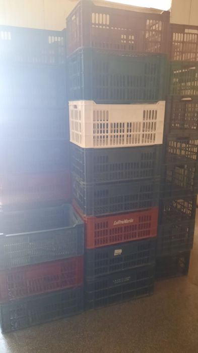 Cuptor, 2 x malaxor, cernator , feliator brutarie