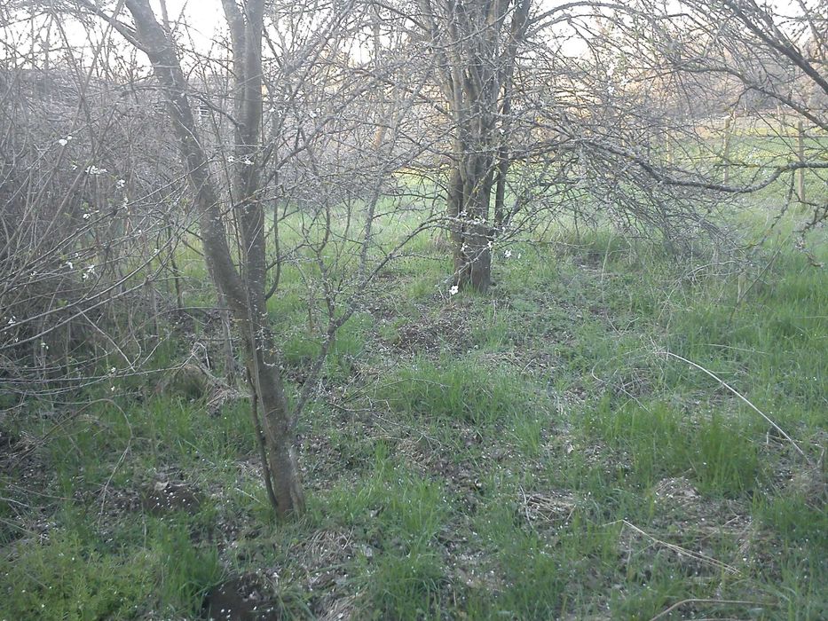 Продава се Парцел в Велико Търново, Бузлуджа - 500 кв.м за 15 €/кв.м - Снимка #7