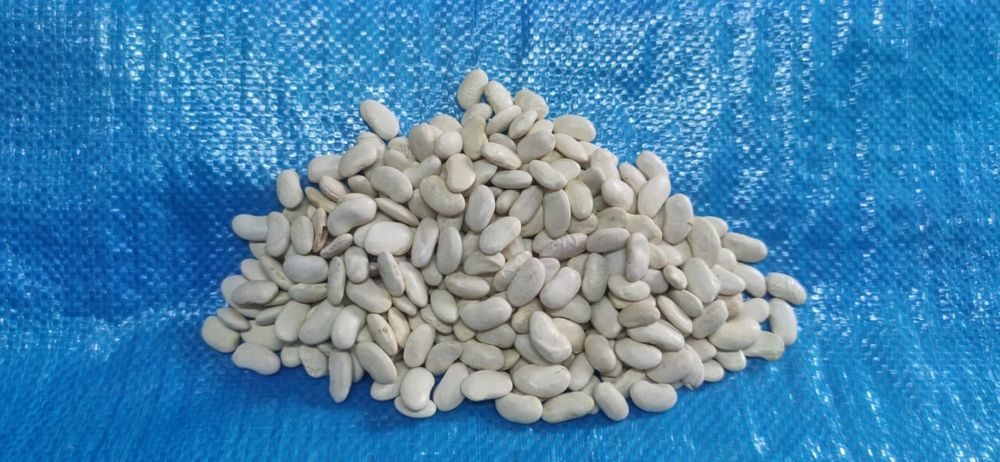 Ячмень.Платный чат! Все корма.