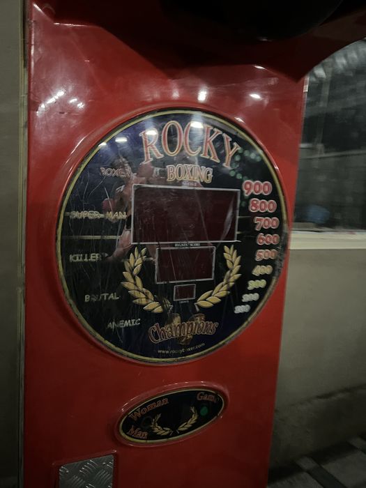 Rokky boxer рокки боксер