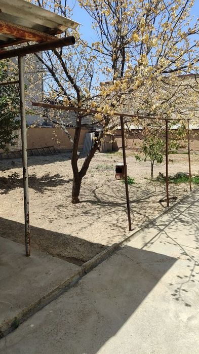 Лимонарияда Зур локацияда курук кадастрли ер сотилади