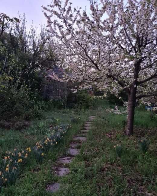 Teren de vanzare Otopeni