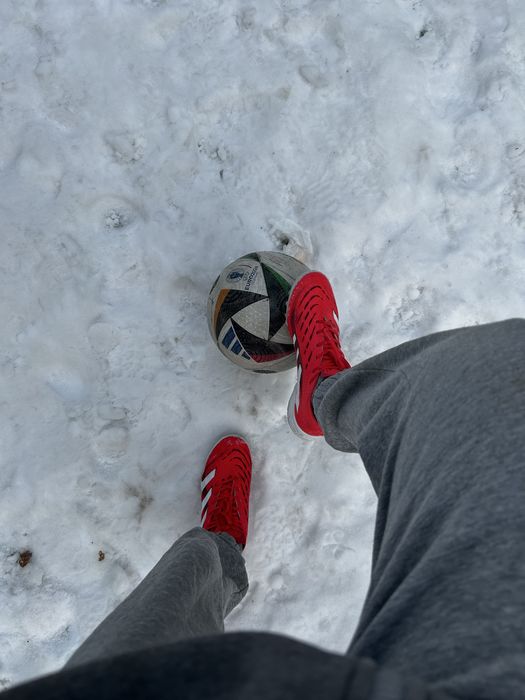 Сороконожки(придатор)